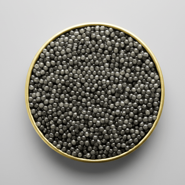 Sevruga Caviar