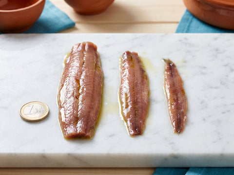 Calibre de anchoas 00 vs 0 vs 1: guía para comprar sin confundirte