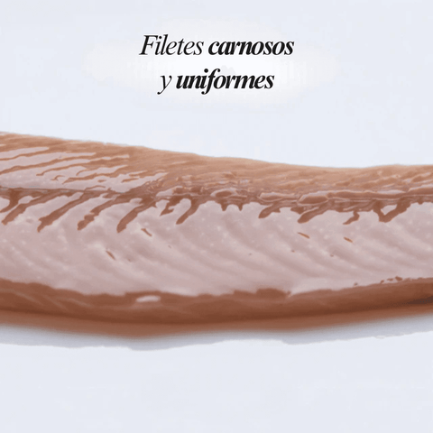 Anchoas 000: Qué Significa y Cómo Identificar la Máxima Calidad - Bacalalo