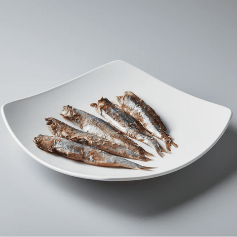 Anchoas del Cantábrico para restaurantes: formatos, gramajes y precios HORECA - Bacalalo