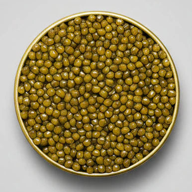 Caviar Iraní: La Tradición Milenaria del Mar Caspio