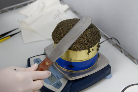 Cómo Conservar Caviar: Antes y Después de Abrir - Bacalalo