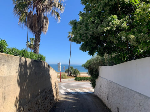 La Gilda: Historia del Pintxo y Dónde Comerla