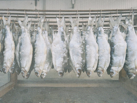 Historia del Bacalao en Cataluña: Del Mar del Norte a tu Mesa - Bacalalo