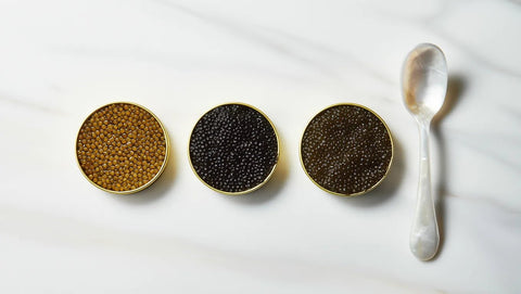 Huevas de esturión: guía clara para entender el caviar (calidades, tipos y etiquetado) - Bacalalo