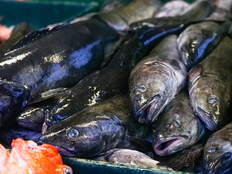 Lomo de bacalao vs desmigado: diferencias y cuándo usar cada uno - Bacalalo