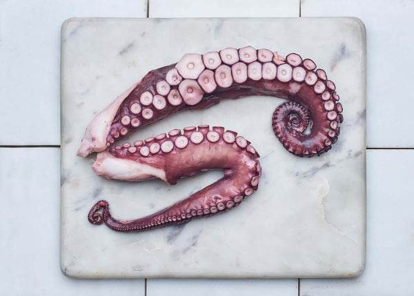 Galician octopus