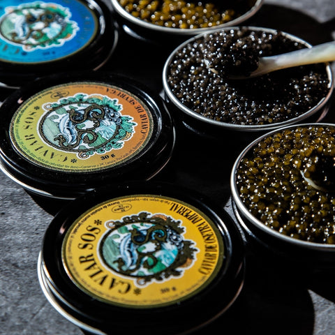 Beluga Caviar price 2026: how much it costs and why | Bacalalo