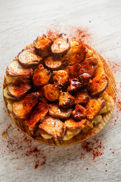 Pulpo mediterr neo 1.png