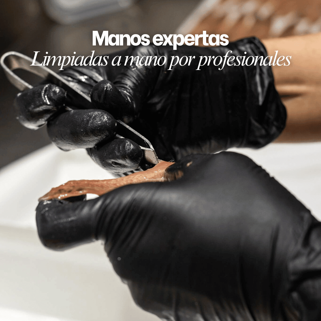 Anchoas del Cantábrico "0" Selección Gourmet 35 filetes – Bacalalo