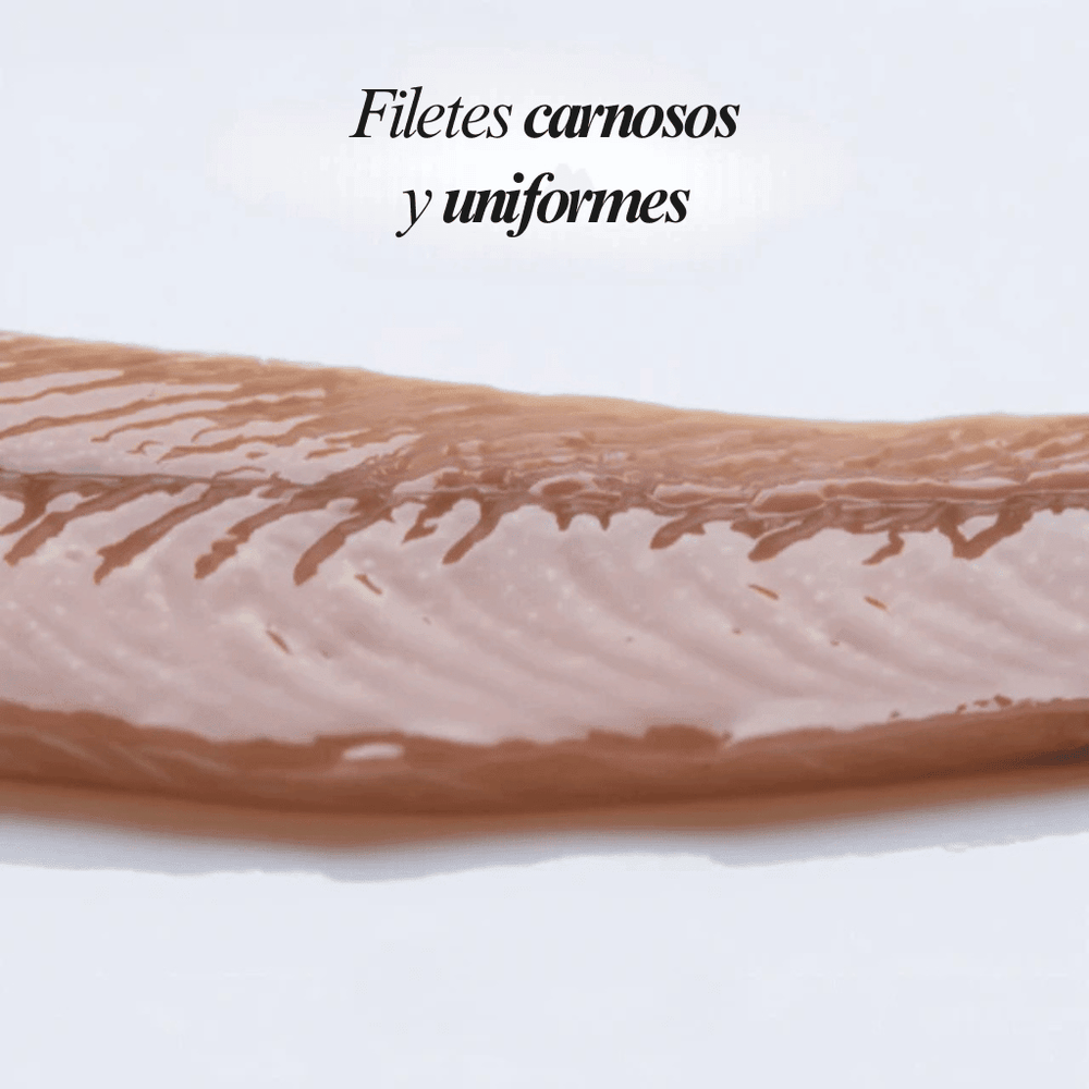 Anchoas del Cantábrico "0" Selección Gourmet 35 filetes – Bacalalo