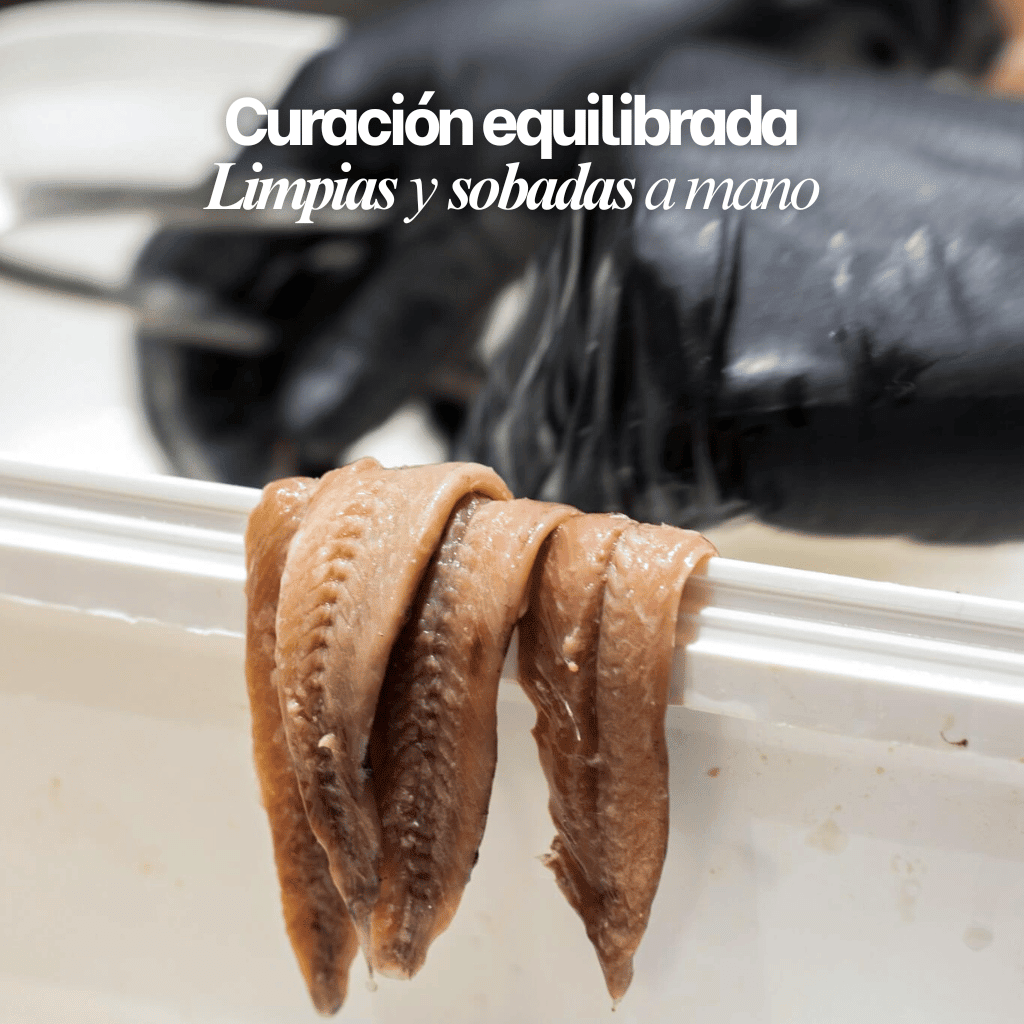 Anchoas del Cantábrico "0" Selección Gourmet 35 filetes – Bacalalo