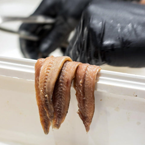 Anchoas del Cantábrico 00 Selección 35 filetes – Bacalalo