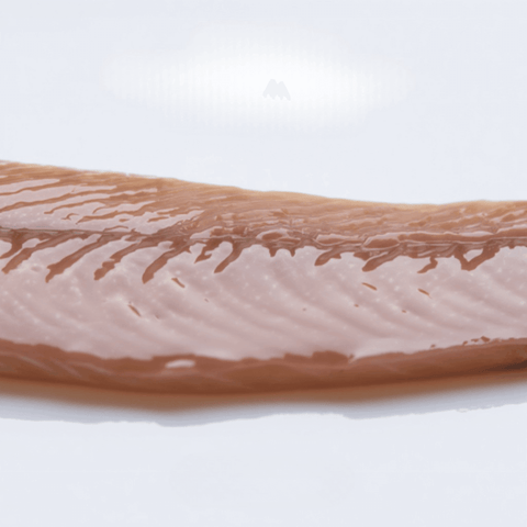 Anchoas del Cantábrico 00 Selección 35 filetes – Bacalalo