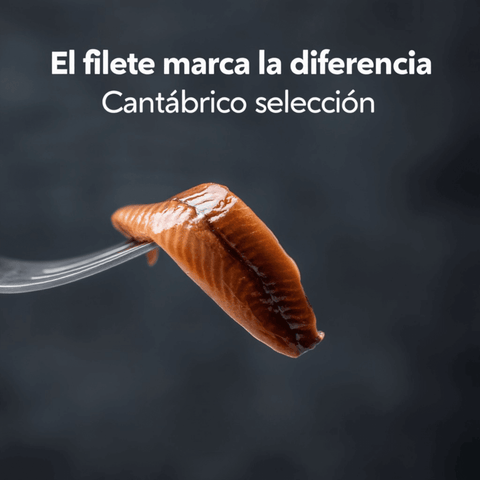 Anchoas del Cantábrico 00 Selección 35 filetes – Bacalalo