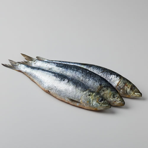 Salted Herring from the Cantabrian Sea, Traditionally Cured in Salt - Pack of 3 units