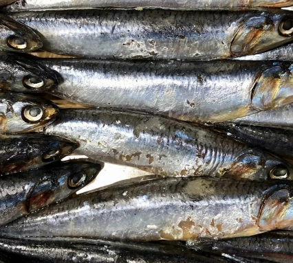 Boqueron con omega 3 bacalalo.png