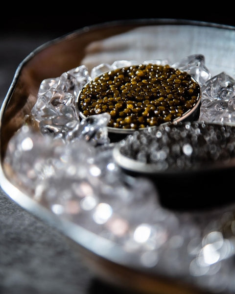 Caviar Osetra Imperial Iraní 30gr – Bacalalo