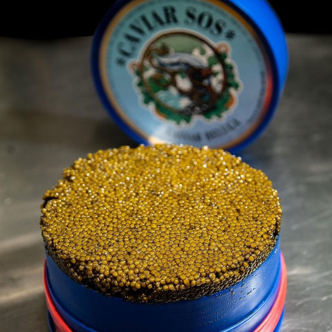 Caviar Osetra Imperial Iraní 30gr – Bacalalo