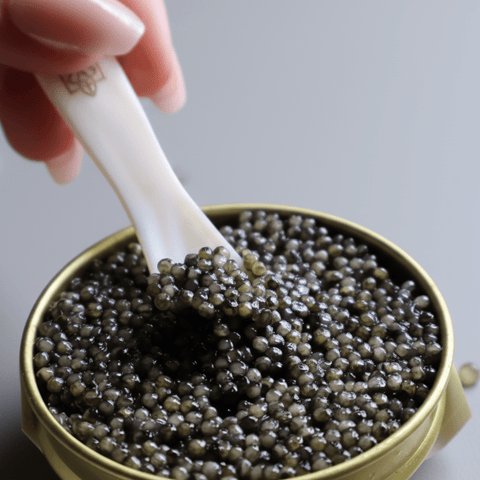 Detalle de caviar sevruga, granos firmes que explotan en boca