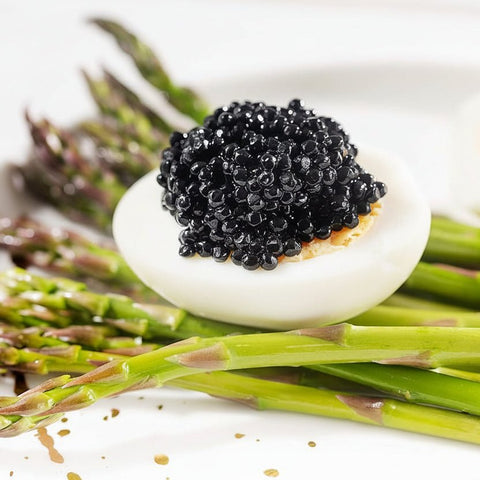 Mújol Negro Shikrán 550g - Arenque, sabor marino delicado y complejo