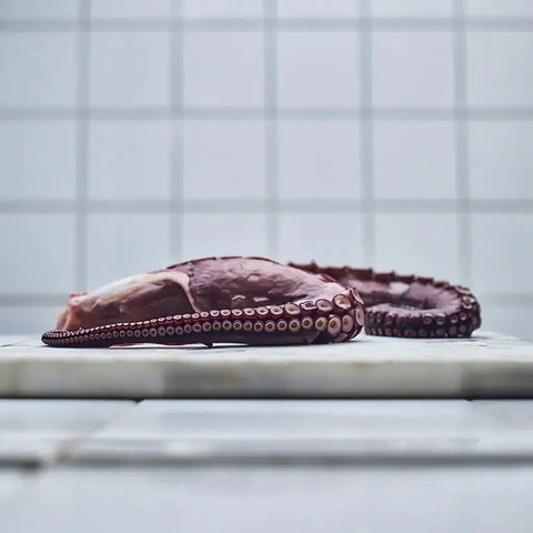 Pulpo gallego cocido pata grande – Canned Seafood | Bacalalo gourmet