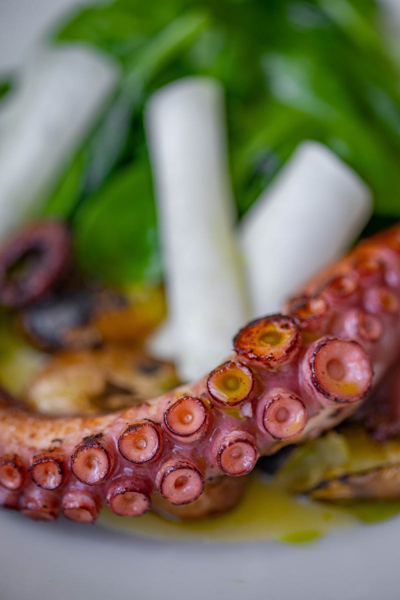 octopus-plated-gourmet