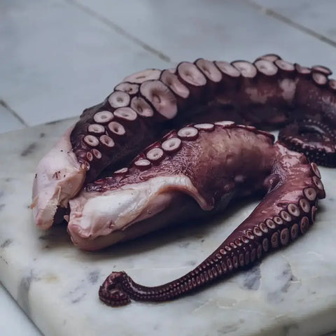 Pulpo gallego cocido pata grande – Canned Seafood | Bacalalo gourmet