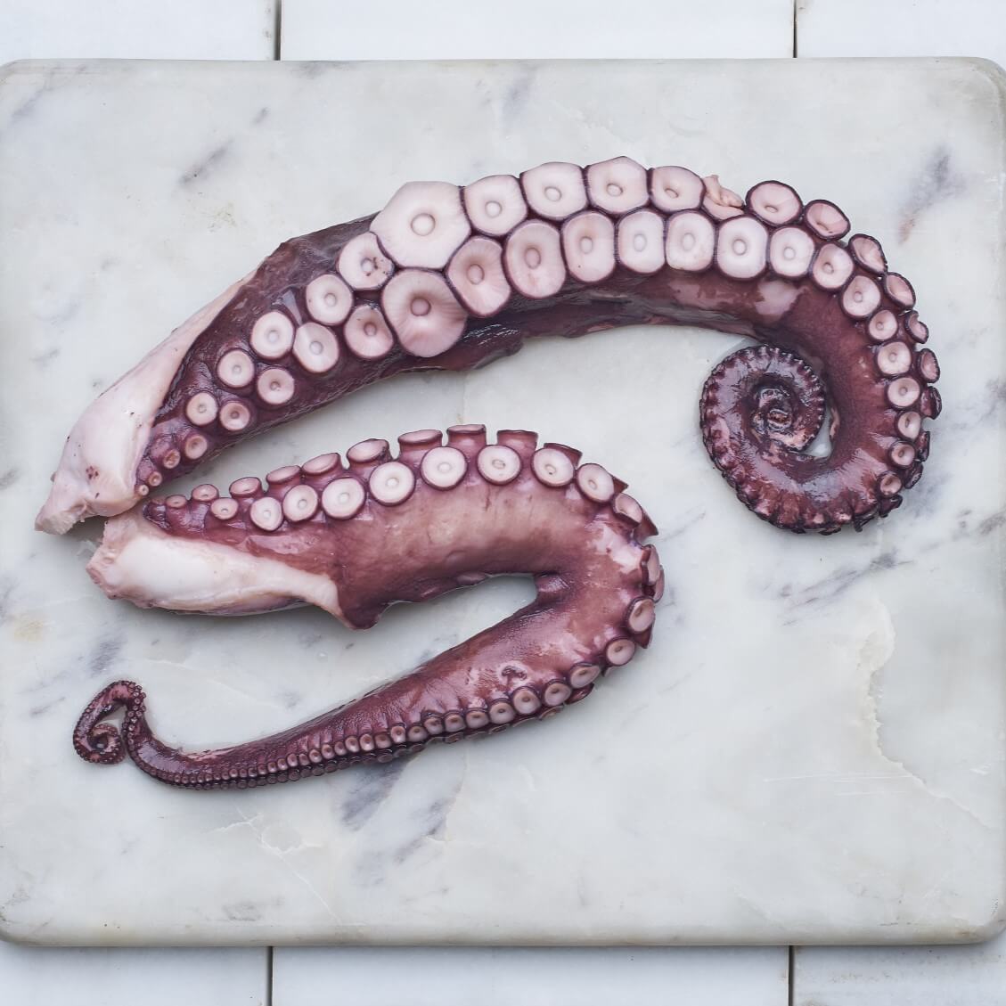 Pulpo gallego cocido pata grande – Canned Seafood | Bacalalo gourmet