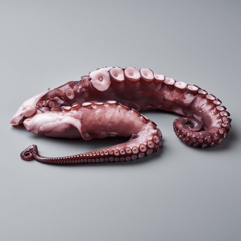 Detalle de pulpo gallego cocido pata grande, textura tierna y jugosa