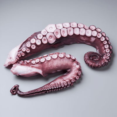 Pulpo Gallego Cocido Pata Grande - 500g