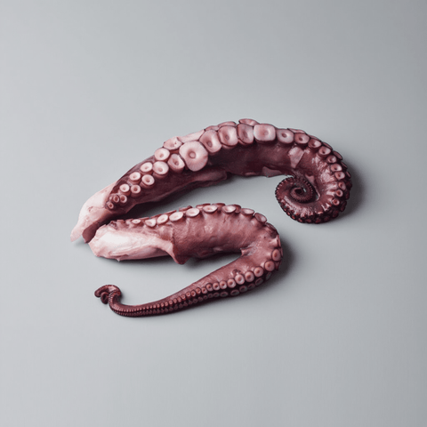 Pulpo Gallego Cocido Pata Grande, cocción perfecta al punto