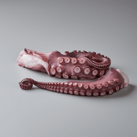 Pulpo Gallego Cocido Pata Grande de Bacalalo, ideal para plancha o pulpeira