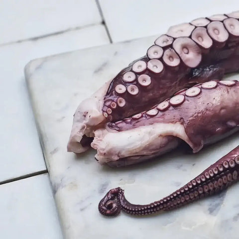 Pulpo gallego cocido pata grande – Canned Seafood | Bacalalo gourmet