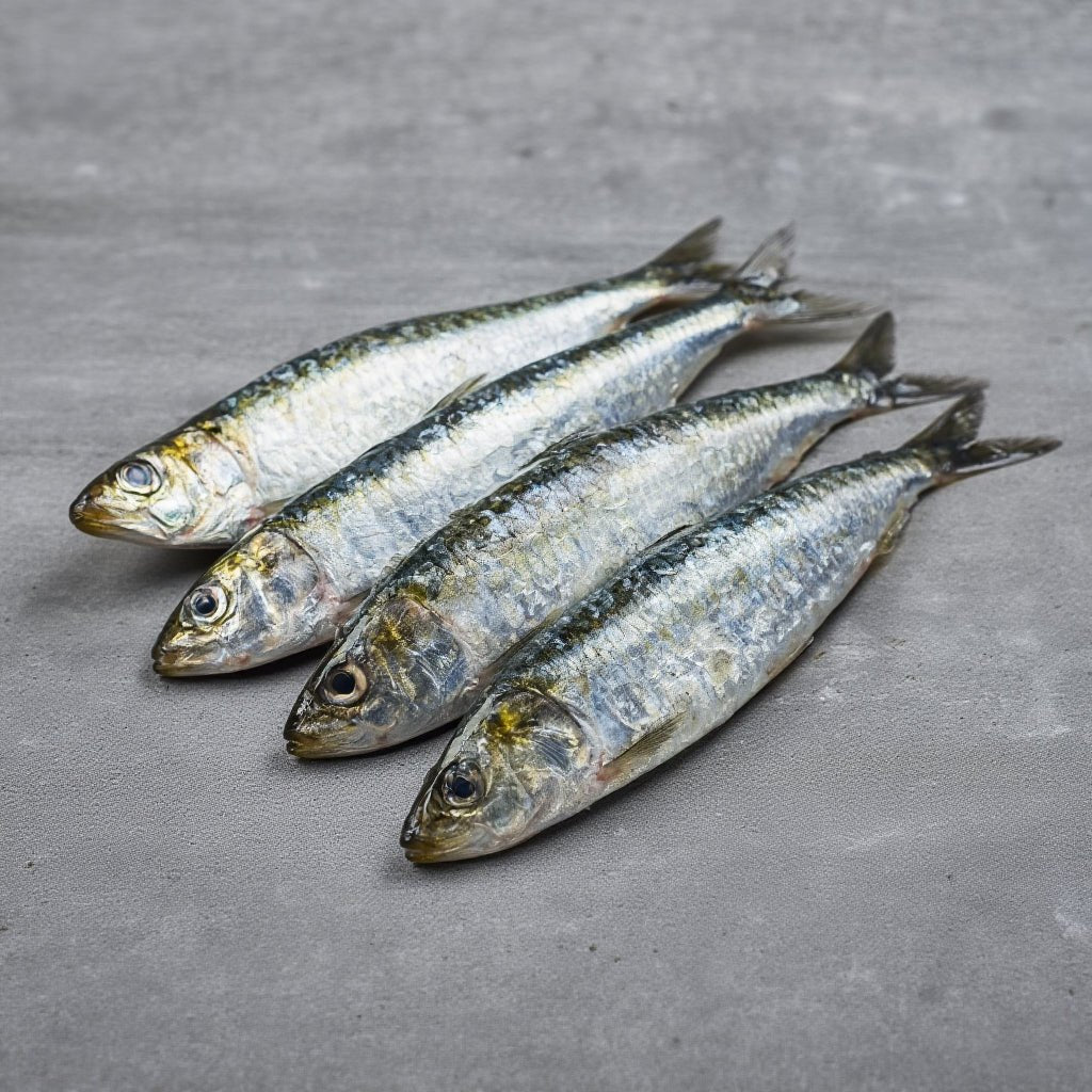 Sardinas Frescas de la Costa - Pack 4
