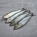 Sardinas Frescas de la Costa - Pack 4 – Bacalalo