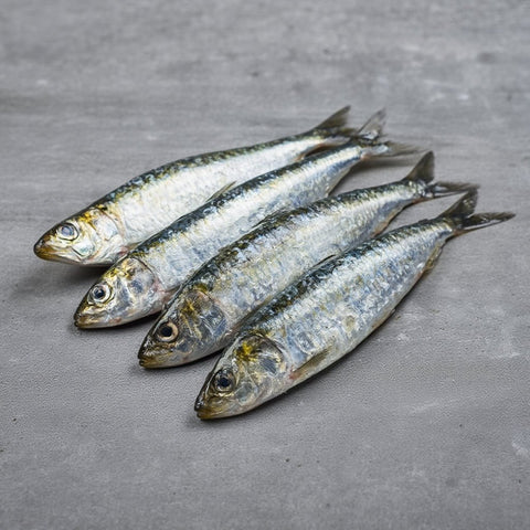Sardinas Frescas de la Costa - Pack 4 – Bacalalo