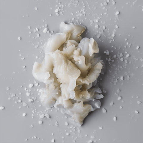 Tripa de Bacalao Remojada Al Punto Bacalalo, calidad gourmet